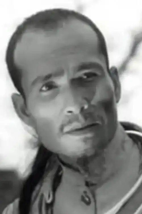 Hoa Văn