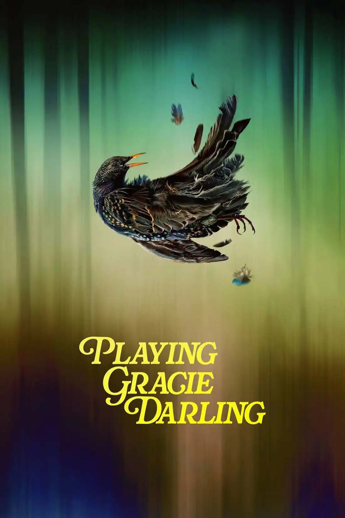 Bí Ẩn Trò Chơi Gracie Darling