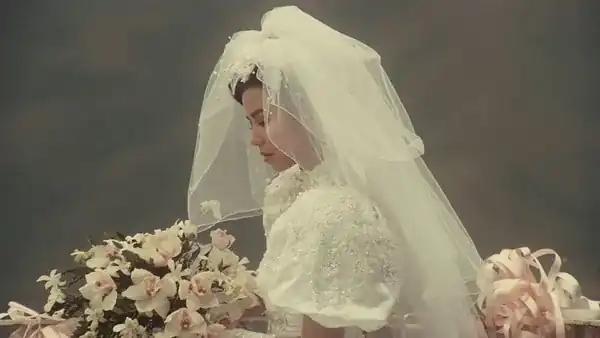 Lưu Kim Tuế Nguyệt (1988)