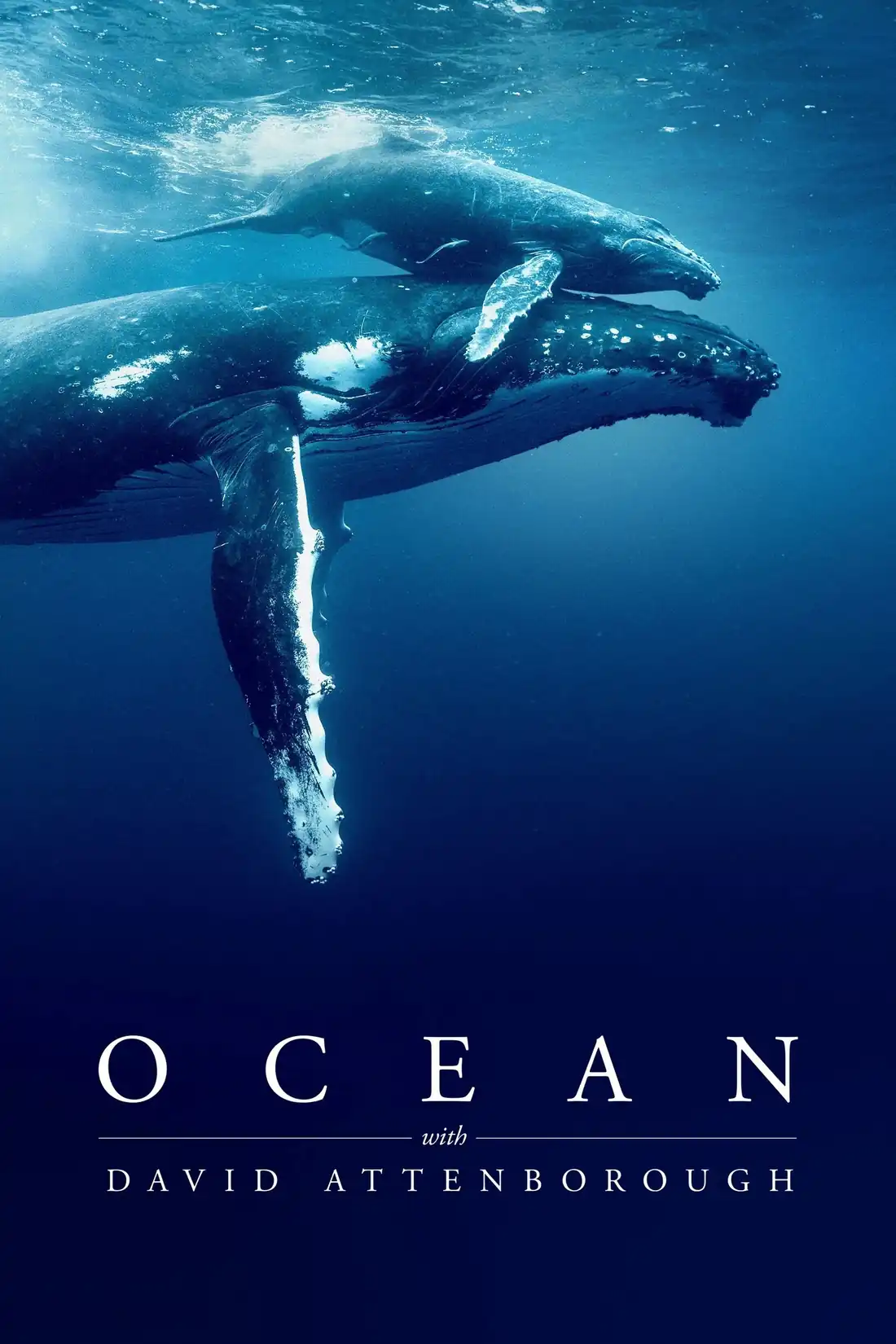 Ocean with David Attenborough
