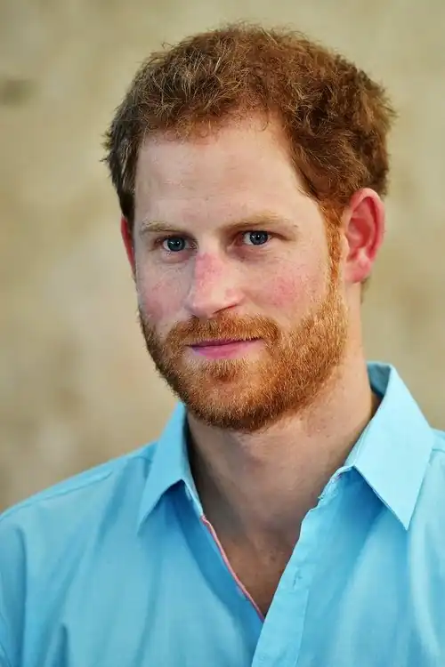 Duke of Sussex